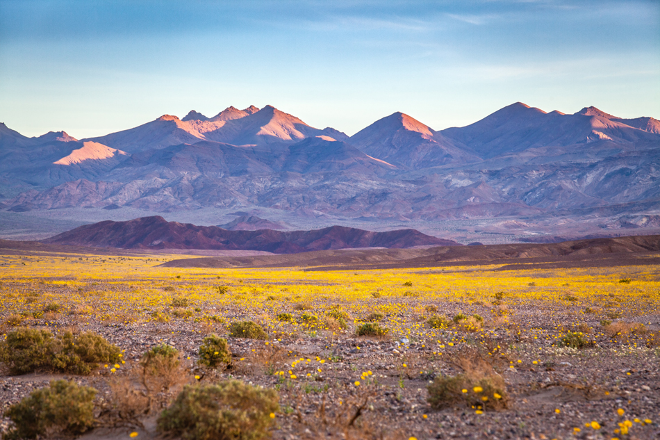 The Amargosa mountains rise over the valley in the background.